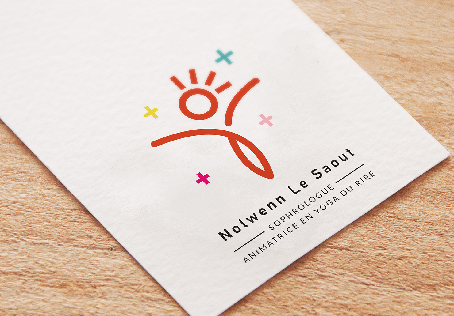 NolwennLeSaout_Logo